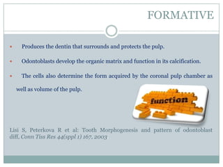 FORMATIVE


Produces the dentin that surrounds and protects the pulp.



Odontoblasts develop the organic matrix and function in its calcification.



The cells also determine the form acquired by the coronal pulp chamber as
well as volume of the pulp.

Lisi S, Peterkova R et al: Tooth Morphogenesis and pattern of odontoblast
diff, Conn Tiss Res 44(sppl 1) 167, 2003.

 