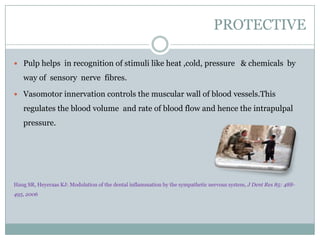PROTECTIVE
 Pulp helps in recognition of stimuli like heat ,cold, pressure & chemicals by

way of sensory nerve fibres.
 Vasomotor innervation controls the muscular wall of blood vessels.This

regulates the blood volume and rate of blood flow and hence the intrapulpal
pressure.

Haug SR, Heyeraas KJ: Modulation of the dental inflammation by the sympathetic nervous system, J Dent Res 85: 488495, 2006

 