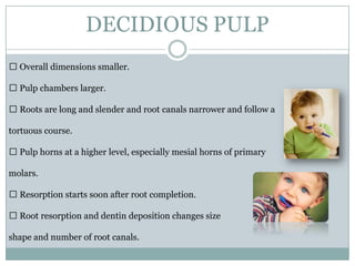DECIDIOUS PULP
 Overall dimensions smaller.
 Pulp chambers larger.

 Roots are long and slender and root canals narrower and follow a
tortuous course.
 Pulp horns at a higher level, especially mesial horns of primary
molars.
 Resorption starts soon after root completion.
 Root resorption and dentin deposition changes size
shape and number of root canals.

 