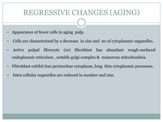 REGRESSIVE CHANGES (AGING)
 Appearance of fewer cells in aging pulp.


Cells are characterized by a decrease in size and no of cytoplasmic organelles.



Active

pulpal

fibrocyte

(or) fibroblast

has

abundant

rough-surfaced

endoplasmic reticulum , notable golgi complex & numerous mitochondria.
 Fibroblast exhibit less perinuclear cytoplasm, long thin cytoplasmic processes.


Intra cellular organelles are reduced in number and size.

 