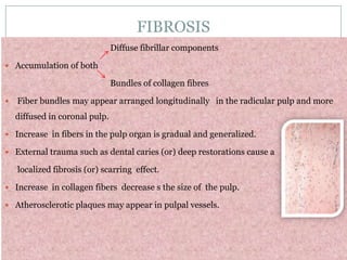 FIBROSIS
Diffuse fibrillar components
 Accumulation of both

Bundles of collagen fibres


Fiber bundles may appear arranged longitudinally in the radicular pulp and more

diffused in coronal pulp.
 Increase in fibers in the pulp organ is gradual and generalized.
 External trauma such as dental caries (or) deep restorations cause a

localized fibrosis (or) scarring effect.
 Increase in collagen fibers decrease s the size of the pulp.
 Atherosclerotic plaques may appear in pulpal vessels.

 