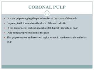 CORONAL PULP


It is the pulp occupying the pulp chamber of the crown of the tooth



In young teeth it resembles the shape of the outer dentin



It has six surfaces : occlusal, mesial, distal, buccal, lingual and floor.



Pulp horns are projections into the cusp

 This pulp constricts at the cervical region where it continues as the radicular

pulp

 