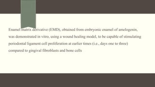 Enamel matrix derivative (EMD), obtained from embryonic enamel of amelogenin,
was demonstrated in vitro, using a wound healing model, to be capable of stimulating
periodontal ligament cell proliferation at earlier times (i.e., days one to three)
compared to gingival fibroblasts and bone cells
 