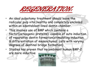 First appointment:isolation of the affected teeth with rubber dam
