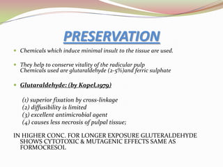 . 7. Place a calcium hydroxide mixture over the radicular pulp stumps at the canal orifices and dry with a cotton pellet. 8. Place quick-setting ZOE cement or resin-reinforced glass ionomer cement over the calcium hydroxide to seal and fill the chamber.