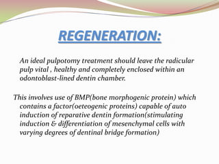 USING MTA INSTEAD OF FORMOCRESOL FOR PULPOTOMY • In this new technique, the MTA paste is allowed to cover the dry pulp stumps (instead of formocresol).• MTA is a powder composed of                                        -Tricalcium silicate,                                        -Bismuth oxide,                                        -Dicalcium silicate,                                        -Tricalciumaluminate,                                       -Tetracalciumaluminoferrite,                                       -Calcium sulfatedihydrate.