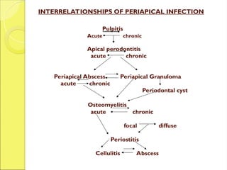 Pulpitis
Acute chronic
Apical perodontitis
acute chronic
Periapical Abscess Periapical Granuloma
acute chronic
Periodontal cyst
Osteomyelitis
acute chronic
focal diffuse
Periostitis
Cellulitis Abscess
INTERRELATIONSHIPS OF PERIAPICAL INFECTION
 