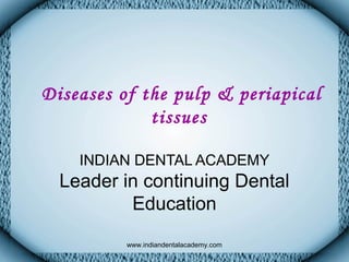Diseases of the pulp & periapical
tissues
INDIAN DENTAL ACADEMY
Leader in continuing Dental
Education
www.indiandentalacademy.com
 