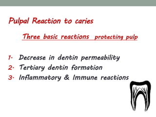 Pulp Protection Graphics pulp protection.pdf