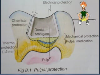 Pulp Protection Graphics PULP PROTECTION in conservative dentistry | PPT