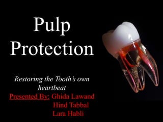 Pulp
Protection
Restoring the Tooth’s own
heartbeat
Presented By: Ghida Lawand
Hind Tabbal
Lara Habli
 