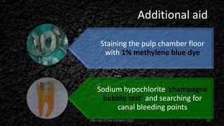 Pulp Bleeding Color Pulp stone | PPTX