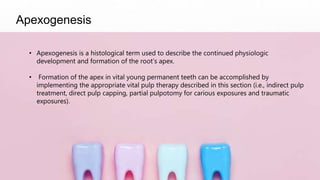 Apexogenesis
• Apexogenesis is a histological term used to describe the continued physiologic
development and formation of the root’s apex.
• Formation of the apex in vital young permanent teeth can be accomplished by
implementing the appropriate vital pulp therapy described in this section (i.e., indirect pulp
treatment, direct pulp capping, partial pulpotomy for carious exposures and traumatic
exposures).
 
