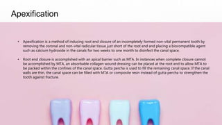 Apexification
• Apexification is a method of inducing root end closure of an incompletely formed non-vital permanent tooth by
removing the coronal and non-vital radicular tissue just short of the root end and placing a biocompatible agent
such as calcium hydroxide in the canals for two weeks to one month to disinfect the canal space.
• Root end closure is accomplished with an apical barrier such as MTA. In instances when complete closure cannot
be accomplished by MTA, an absorbable collagen wound dressing can be placed at the root end to allow MTA to
be packed within the confines of the canal space. Gutta percha is used to fill the remaining canal space. If the canal
walls are thin, the canal space can be filled with MTA or composite resin instead of gutta percha to strengthen the
tooth against fracture.
 