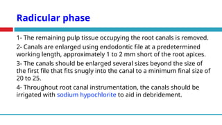 Radicular phase
1- The remaining pulp tissue occupying the root canals is removed.
2- Canals are enlarged using endodontic file at a predetermined
working length, approximately 1 to 2 mm short of the root apices.
3- The canals should be enlarged several sizes beyond the size of
the first file that fits snugly into the canal to a minimum final size of
20 to 25.
4- Throughout root canal instrumentation, the canals should be
irrigated with sodium hypochlorite to aid in debridement.
 
