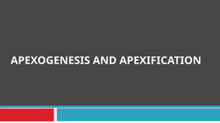APEXOGENESIS AND APEXIFICATION
 