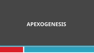 APEXOGENESIS
 