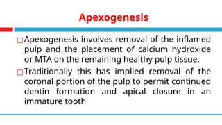 Apexogenesis
◻Apexogenesis involves removal of the inflamed
pulp and the placement of calcium hydroxide
or MTA on the remaining healthy pulp tissue.
◻Traditionally this has implied removal of the
coronal portion of the pulp to permit continued
dentin formation and apical closure in an
immature tooth
 