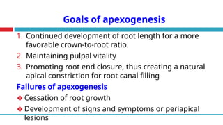 Goals of apexogenesis
1. Continued development of root length for a more
favorable crown-to-root ratio.
2. Maintaining pulpal vitality
3. Promoting root end closure, thus creating a natural
apical constriction for root canal filling
Failures of apexogenesis
❖ Cessation of root growth
❖ Development of signs and symptoms or periapical
lesions
 