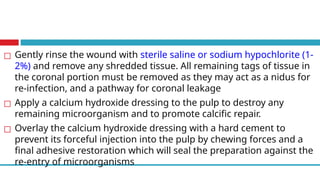 ◻ Gently rinse the wound with sterile saline or sodium hypochlorite (1-
2%) and remove any shredded tissue. All remaining tags of tissue in
the coronal portion must be removed as they may act as a nidus for
re-infection, and a pathway for coronal leakage
◻ Apply a calcium hydroxide dressing to the pulp to destroy any
remaining microorganism and to promote calcific repair.
◻ Overlay the calcium hydroxide dressing with a hard cement to
prevent its forceful injection into the pulp by chewing forces and a
final adhesive restoration which will seal the preparation against the
re-entry of microorganisms
 