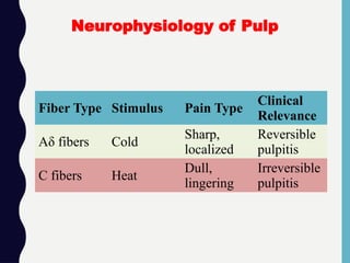 Fiber Type Stimulus Pain Type
Clinical
Relevance
Aδ fibers Cold
Sharp,
localized
Reversible
pulpitis
C fibers Heat
Dull,
lingering
Irreversible
pulpitis
Neurophysiology of Pulp
 