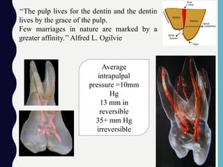 ‘‘The pulp lives for the dentin and the dentin
lives by the grace of the pulp.
Few marriages in nature are marked by a
greater affinity.’’Alfred L. Ogilvie
Average
intrapulpal
pressure =10mm
Hg
13 mm in
reversible
35+ mm Hg
irreversible
 