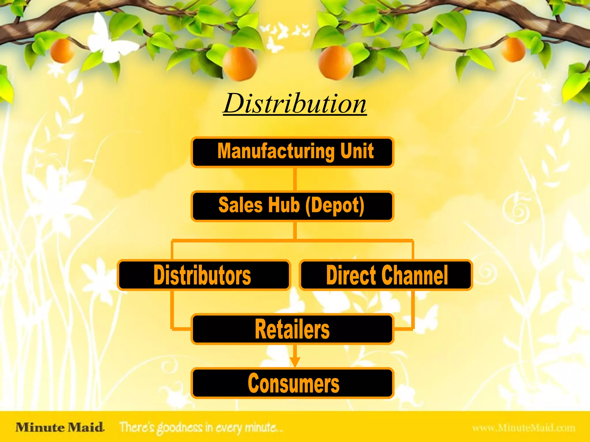Distribution Sales Hub (Depot) Distributors Direct Channel Retailers Consumers Manufacturing Unit 