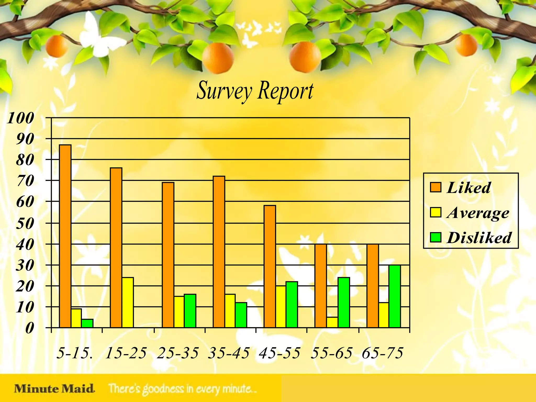 Survey Report 