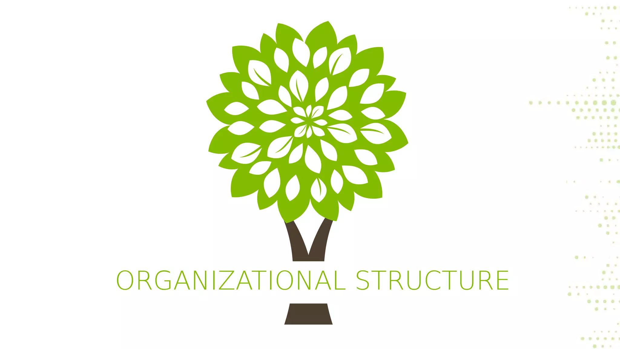 ORGANIZATIONAL STRUCTURE
 