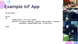 Example IoT App
#!/bin/bash
while :
do
DATE=$(date +"%Y-%m-%d_%H%M")
python3 -W ignore demo.py --camera /dev/video0 --network
googlenet images/$DATE.jpg 2>/dev/null
done
 
