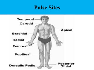 PULSE for all health care givers. Briefly | PDF