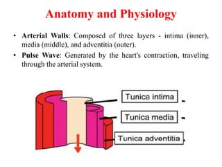 Anatomy and Physiology
• Arterial Walls: Composed of three layers - intima (inner),
media (middle), and adventitia (outer).
• Pulse Wave: Generated by the heart's contraction, traveling
through the arterial system.
 