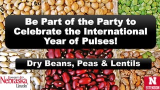 Be Part of the Party to
Celebrate the International
Year of Pulses!
Dry Beans, Peas & Lentils
 