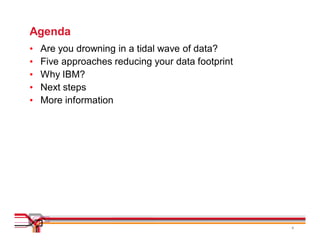 Agenda
•   Are you drowning in a tidal wave of data?
•   Five approaches reducing your data footprint
•   Why IBM?
•   Next steps
•   More information




                                                   4
 