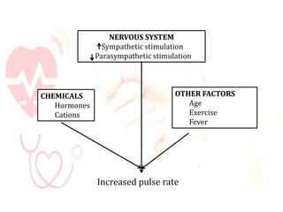 NERVOUS SYSTEM
Sympathetic stimulation
Parasympathetic stimulation
CHEMICALS
Hormones
Cations
OTHER FACTORS
Age
Exercise
Fever
Increased pulse rate
 