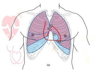 Pulse and heart sound