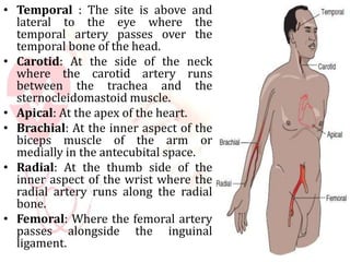 • Temporal : The site is above and
lateral to the eye where the
temporal artery passes over the
temporal bone of the head.
• Carotid: At the side of the neck
where the carotid artery runs
between the trachea and the
sternocleidomastoid muscle.
• Apical: At the apex of the heart.
• Brachial: At the inner aspect of the
biceps muscle of the arm or
medially in the antecubital space.
• Radial: At the thumb side of the
inner aspect of the wrist where the
radial artery runs along the radial
bone.
• Femoral: Where the femoral artery
passes alongside the inguinal
ligament.
 