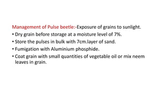 Management of Pulse beetle:-Exposure of grains to sunlight.
• Dry grain before storage at a moisture level of 7%.
• Store the pulses in bulk with 7cm.layer of sand.
• Fumigation with Aluminium phosphide.
• Coat grain with small quantities of vegetable oil or mix neem
leaves in grain.
 