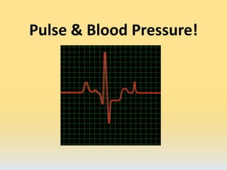 Pulse & Blood Pressure! 