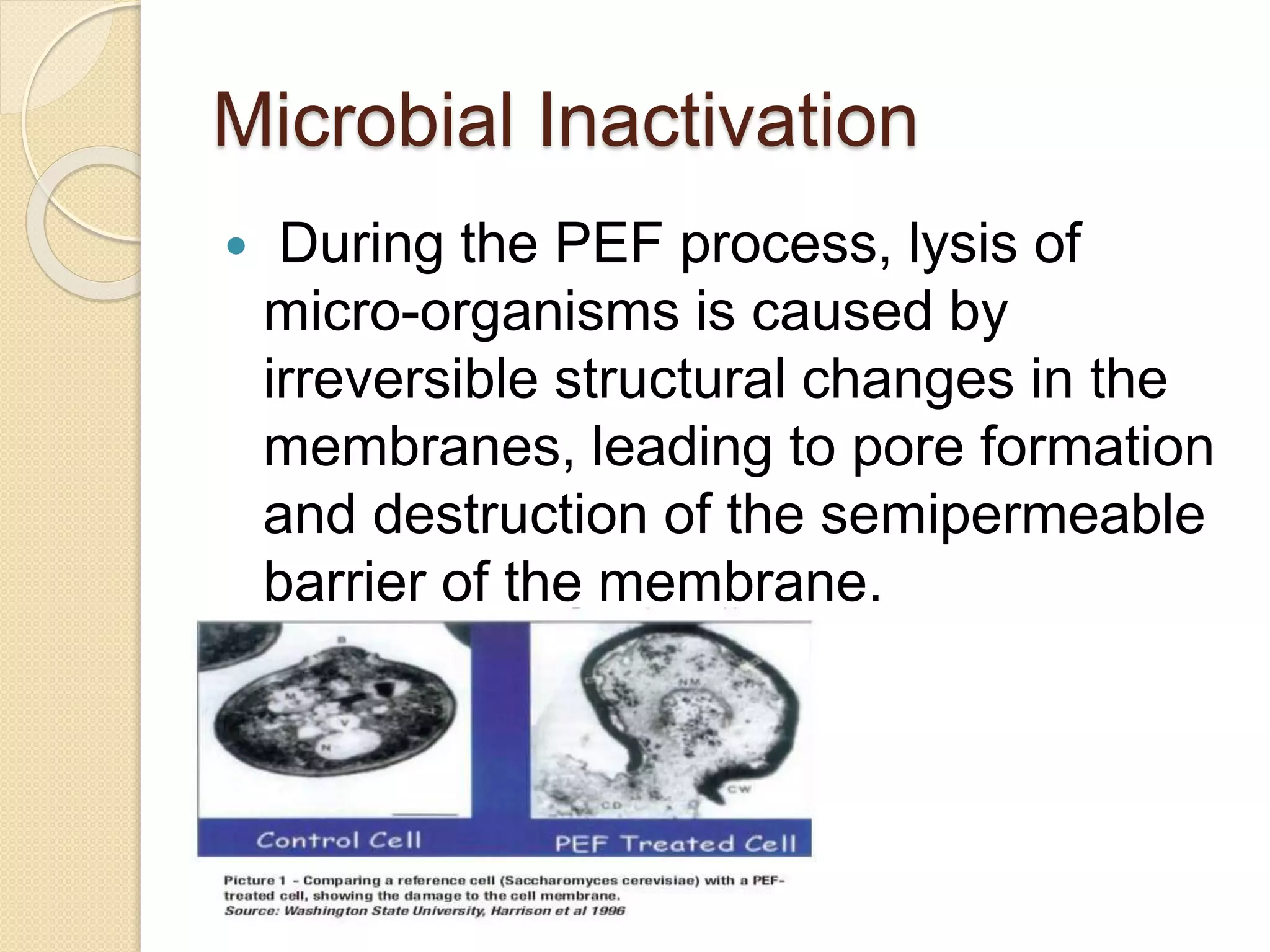 Microbial Inactivation
 During the PEF process, lysis of
micro-organisms is caused by
irreversible structural changes in the
membranes, leading to pore formation
and destruction of the semipermeable
barrier of the membrane.
 