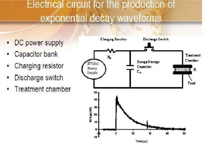 Pulsed Electric Field Processing of Food