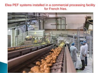 Pef Process Pulsed electric field processing | PPTX