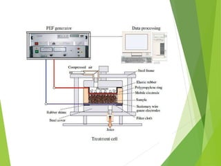 Pef Rectangular Pulse Pulse Electric Field - PEF | PPTX