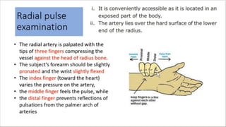 Pulse Exmination pulse examination 2ksowsjsnwoso (1)-3.pptx