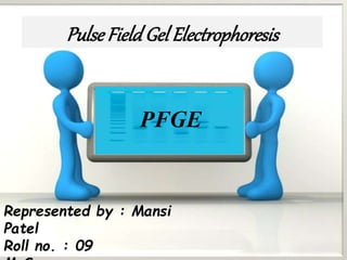PulseFieldGelElectrophoresis
PFGE
Represented by : Mansi
Patel
Roll no. : 09
 