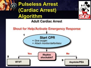 Pulseless Arrest
(Cardiac Arrest)
Algorithm
 