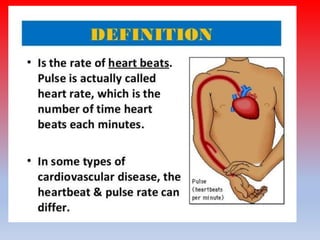 PULSE OR HEART RATE,TYPES OF PULSE ,FACTORS AFFECTING AND REGULATION .pptx