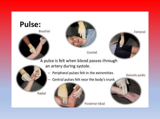 PULSE OR HEART RATE,TYPES OF PULSE ,FACTORS AFFECTING AND REGULATION ...