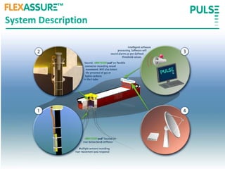 Pulse Overview | PDF