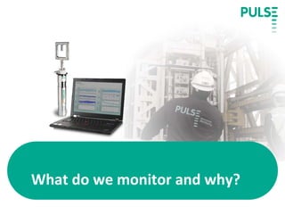 Pulse Overview | PDF